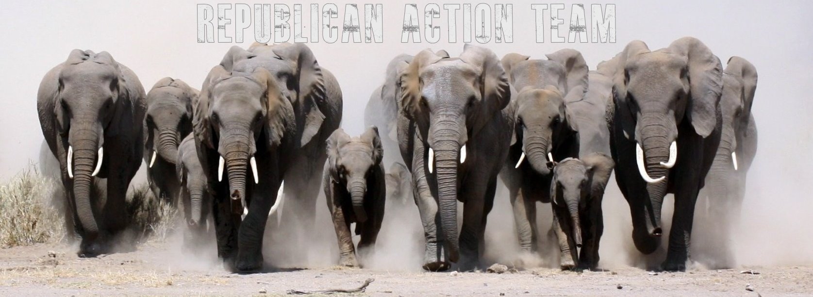 republican action team main-image